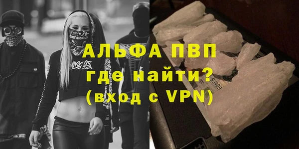 хмурый Магас