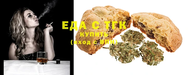 хмурый Магас