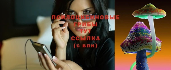 мяу мяу мука Магадан