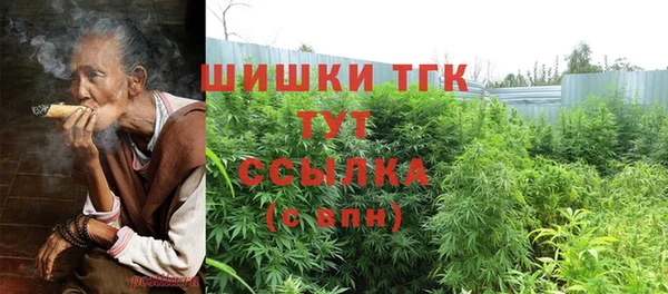хмурый Магас