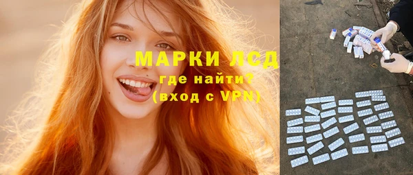 хмурый Магас