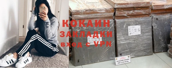 хмурый Магас