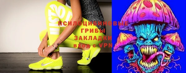 мяу мяу мука Магадан