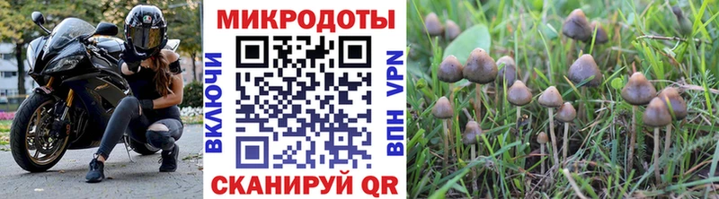 ссылка на мегу ссылки Хабаровск Галлюциногенные грибы мухоморы